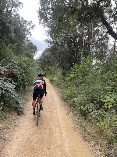 Photo from customer review