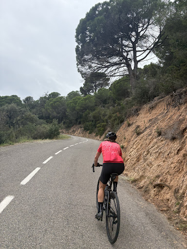 Photo from customer review