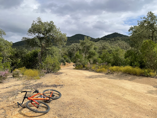 Photo from customer review